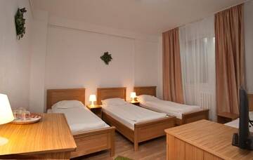 Фото номера Трехместный номер Гостевой дом Pension Club Montana г. Кымпина 8