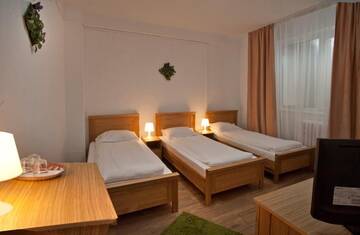 Фото номера Трехместный номер Гостевой дом Pension Club Montana г. Кымпина 9