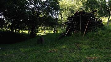 Фото номера Дом с 2 спальнями Дома для отпуска Casa rurala cu padurice si livada г. Кымпина 30